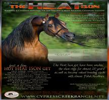 The Heat Ison
