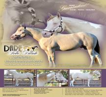 Dare Tobe Dilute